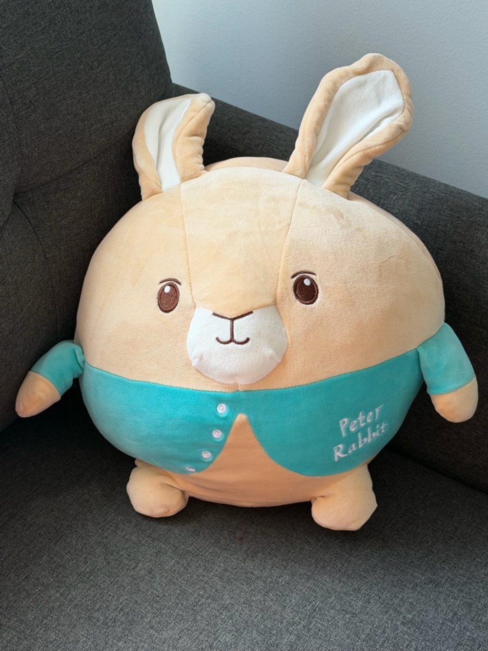 Peter Rabbit cuddle pal